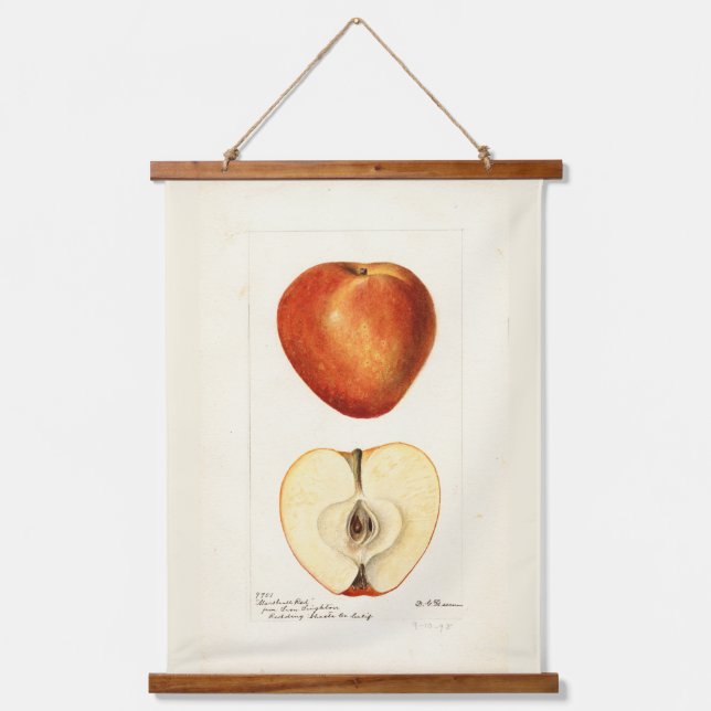 Pomological Watercolor Marshall Red Scrapbook Seit Wandteppich Mit Holzrahmen (Vorderseite)