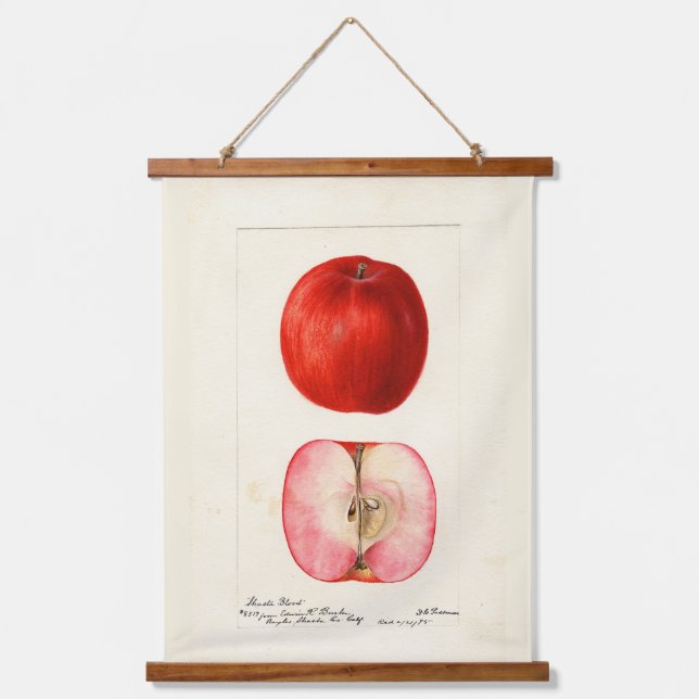 Pomologisches Aquarellfarbe Wandteppich Mit Holzrahmen (Vorderseite)