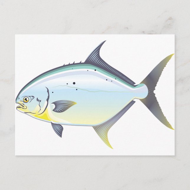 Pompano Florida Fischvektordarstellung Postkarte (Vorderseite)