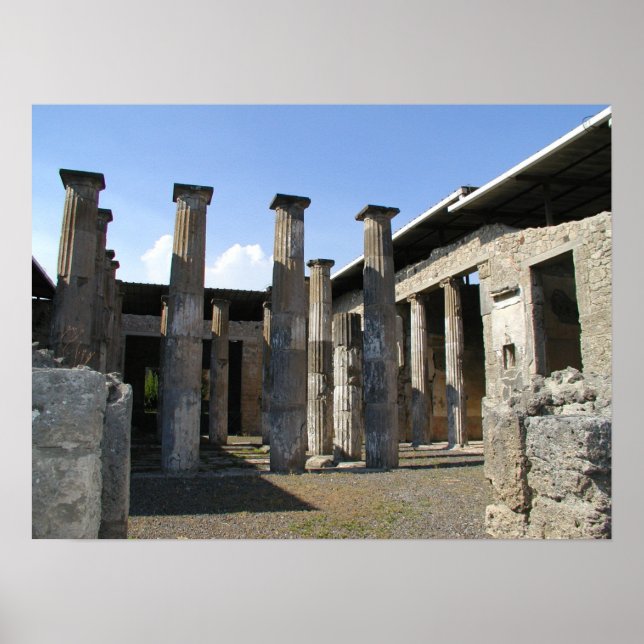 Pompei Preserviert Poster (Vorne)