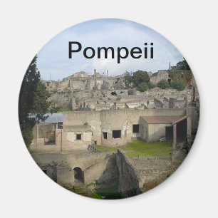 Pompeii-Manager Magnet