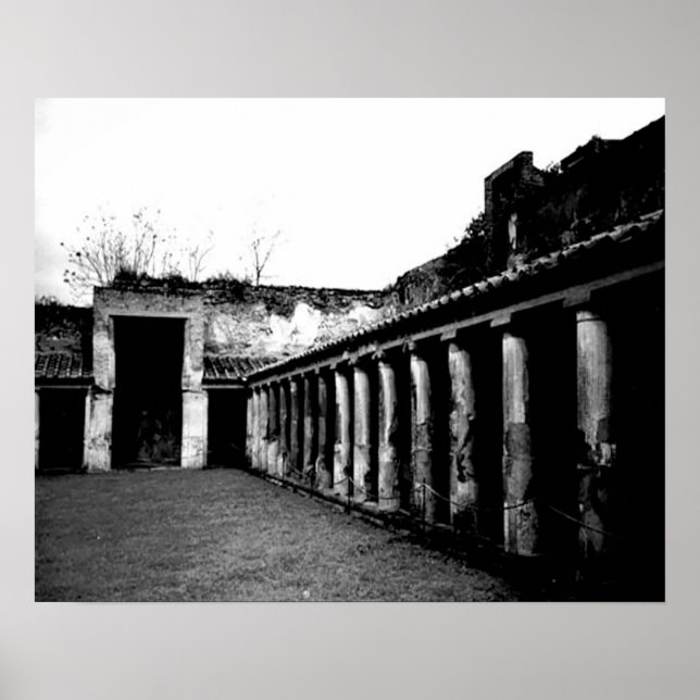 Pompeii Poster (Vorne)