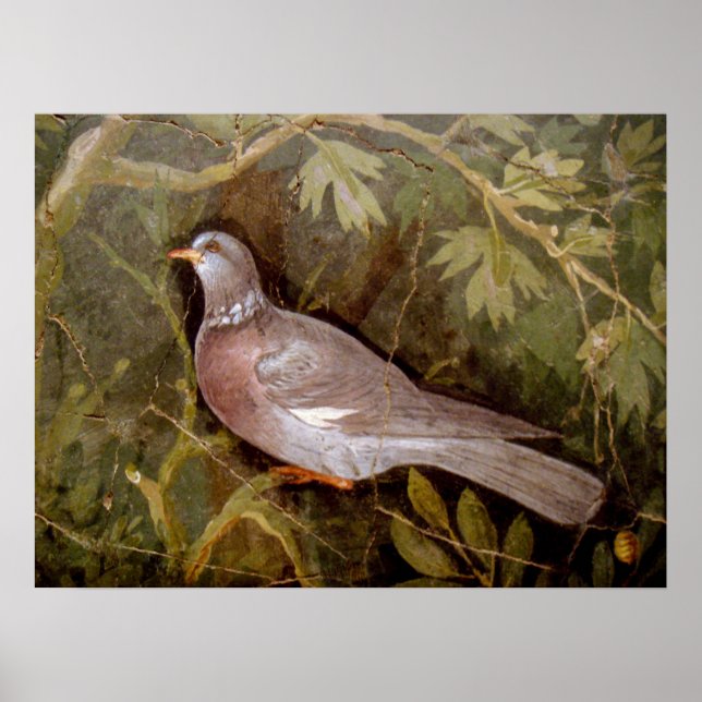 POMPEII-SAMMLUNG / DOVE IN THE GARDEN POSTER (Vorne)