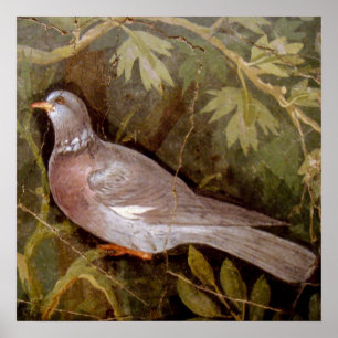POMPEII-SAMMLUNG / DOVE IN THE GARDEN POSTER