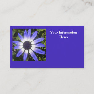 Pompeji Visitenkarte