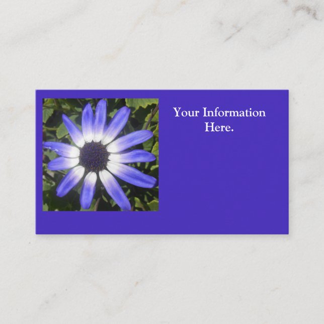 Pompeji Visitenkarte (Vorderseite)