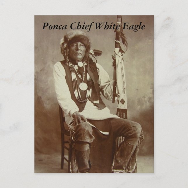 Ponca Chief White Eagle Postcard Postkarte (Vorderseite)