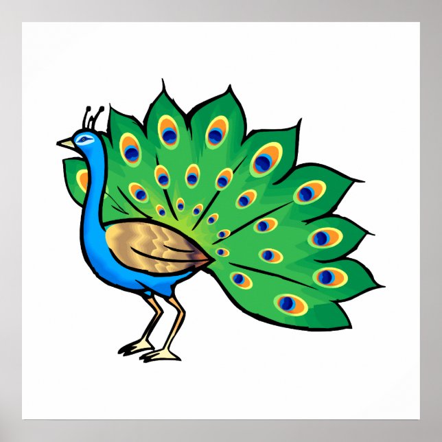 Ponce Peacock Poster (Vorne)