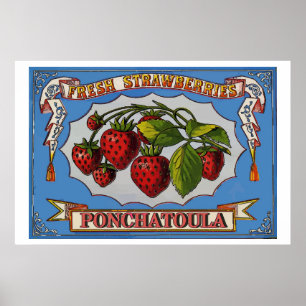 Ponchatoula Erdberies, LA Poster