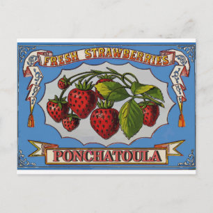 Ponchatoula, LA Erdbeeren Postkarte