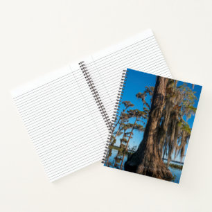 Pond Cypress Tree in einem Sumpf Notizbuch