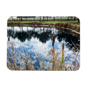 Pond Landscape Nature Fotografy Art Magnet