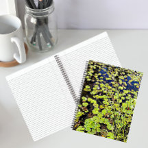 Pond Lily Pads and Reeds Floral Notebook