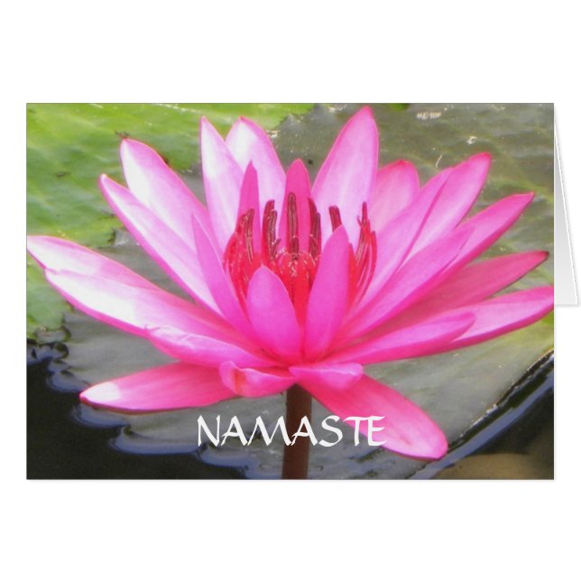 Pond Lotus Tranquility l Namaste (Vorderseite (Horizontal))