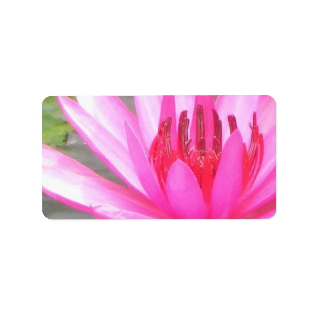 Pond Lotus Tranquility Namaste Blank Adressaufkleber (Vorne)
