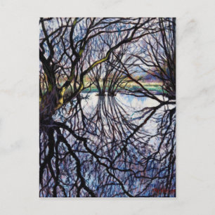 Pond Reflections 2009 Postkarte