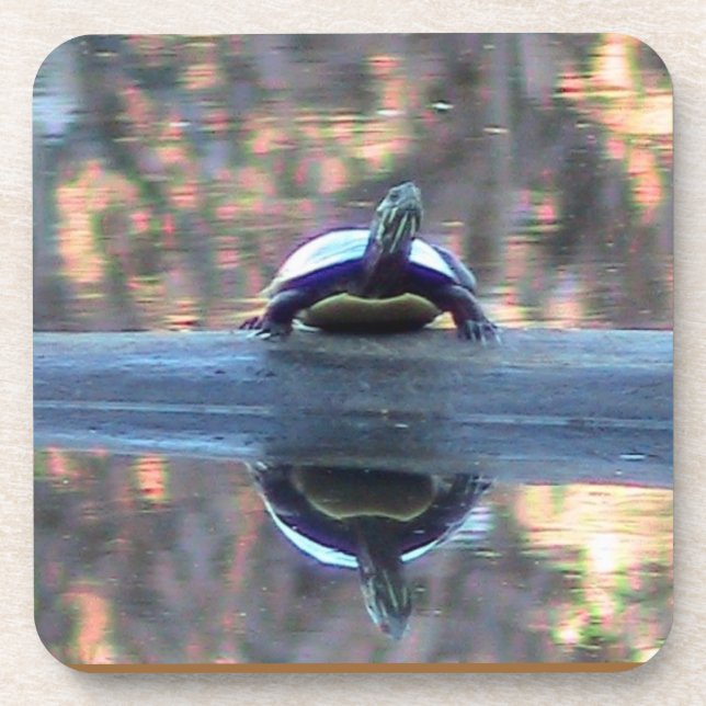 Pond Turtle Reflection Untersetzer (Vorderseite)