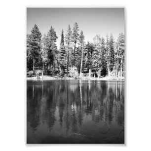 Ponderosa Kiefern Reflexionsfoto Fotodruck