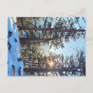 Ponderosa Shine Colorado Bergsee-Zauber Postkarte