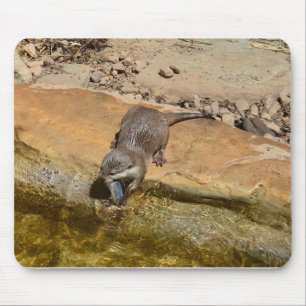 **"Pondside Fest: Ein Otter und seine Fänge"** Mousepad