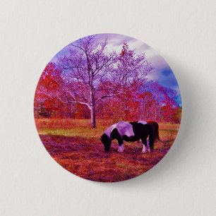 PONIEN IN EINEM RAINBOW-FELD BUTTON