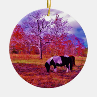 PONIEN IN EINEM RAINBOW-FELD KERAMIK ORNAMENT
