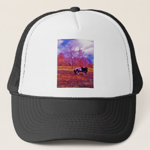 PONIEN IN EINEM RAINBOW-FELD TRUCKERKAPPE