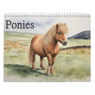 Ponies Kalender