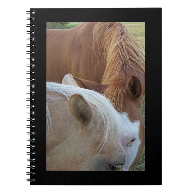 Ponies Notebook Notizblock (Vorderseite)