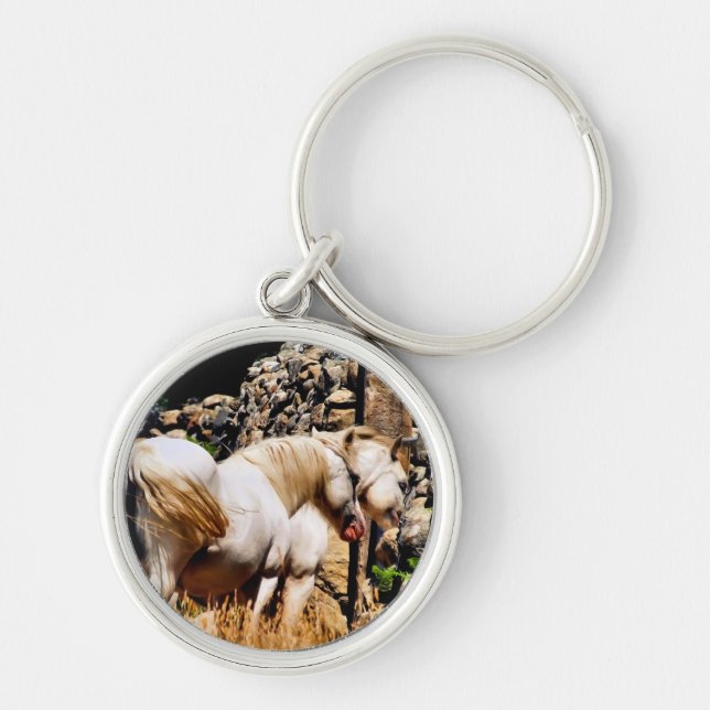 PONIES SCHLÜSSELANHÄNGER (Vorne)