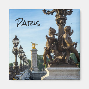 Pont Alexandre III Brücke - Paris, Frankreich Magnet