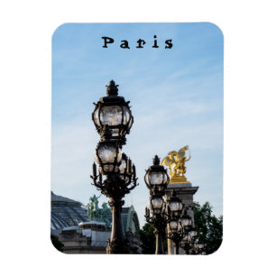 Pont Alexandre III - Paris, Frankreich Magnet