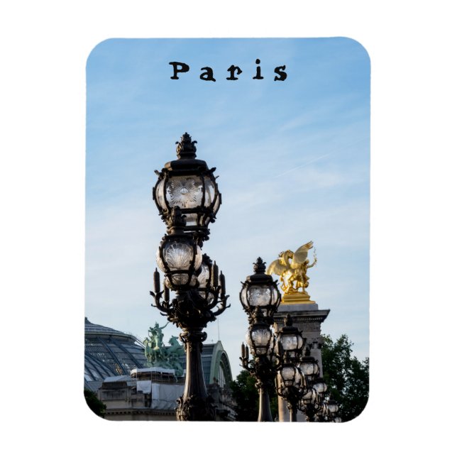 Pont Alexandre III - Paris, Frankreich Magnet (Vertikal)