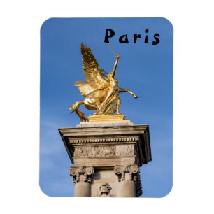 Pont Alexandre lll bridge - Paris, Frankreich Magnet