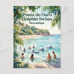 Ponta do Ouro Delfin Schwimmen Mosambik Postkarte