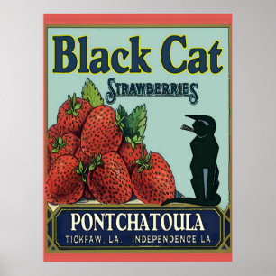 Pontchatoula Erdbeeren, Vintage Katze Poster