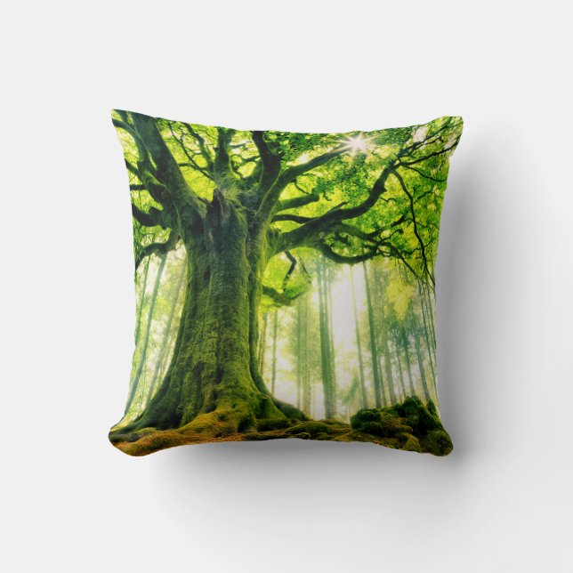 Ponthus' Beech Kissen (Vorderseite)