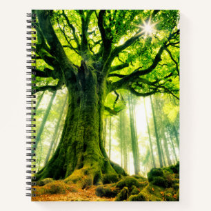 Ponthus' Beech Notizbuch