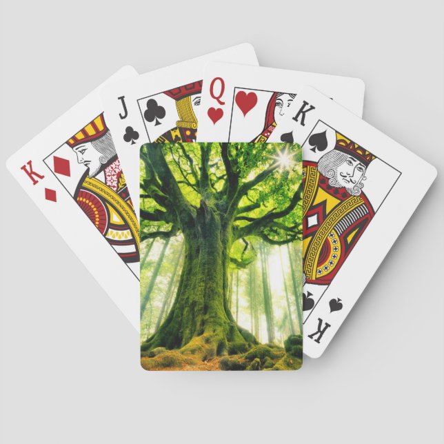 Ponthus Buche Spielkarten (Rückseite)