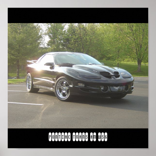 Pontiac Trans Am WS6 Poster (Vorne)