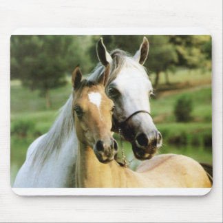 Pony-Auflage Mousepad