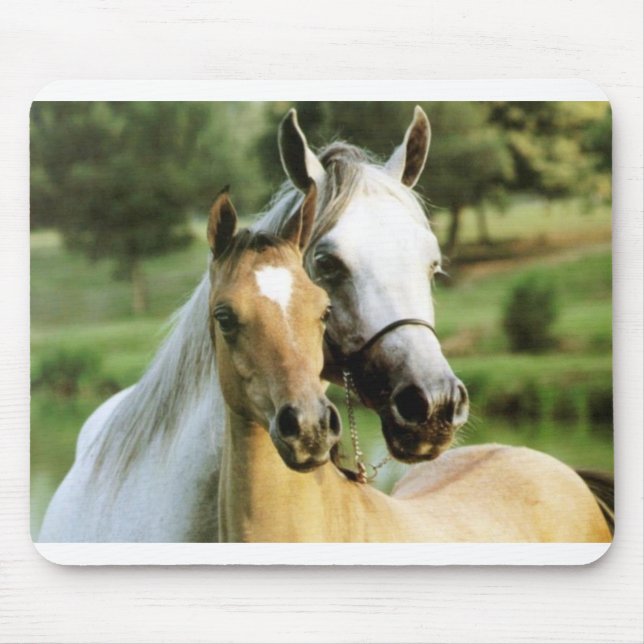 Pony-Auflage Mousepad (Vorne)