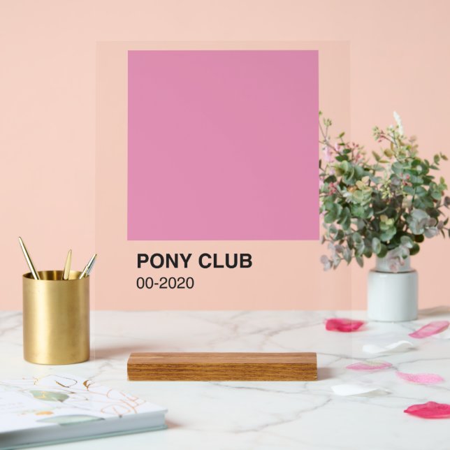 Pony Club Song Pink Farbe - Klare Umgebung Acrylschild (Hochzeit)