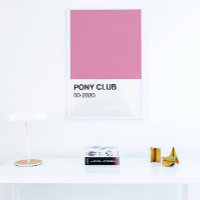 Pony Club Song Pink Farbe - Vollständige Breite