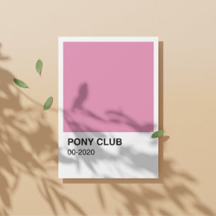 Pony Club Song Pink Farbe - Weiße Grenze Poster