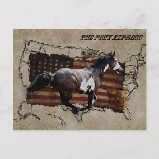 Pony Express Pinto Pferd liefert US-Post Postkarte (Vorderseite)