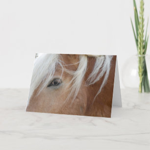 Pony Greeting card Karte