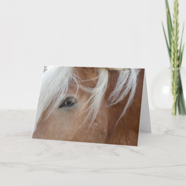 Pony Greeting card Karte (Vorderseite)