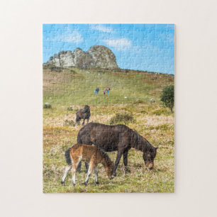 Pony Haytor rock in Dartmoor national park Devon Puzzle