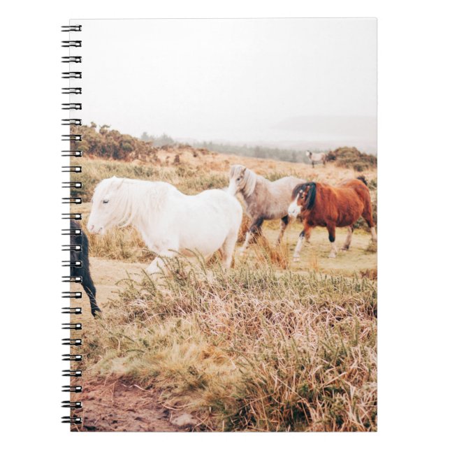PONY HERDE IN DER HERBSTÜHLE NOTIZBLOCK (Vorderseite)